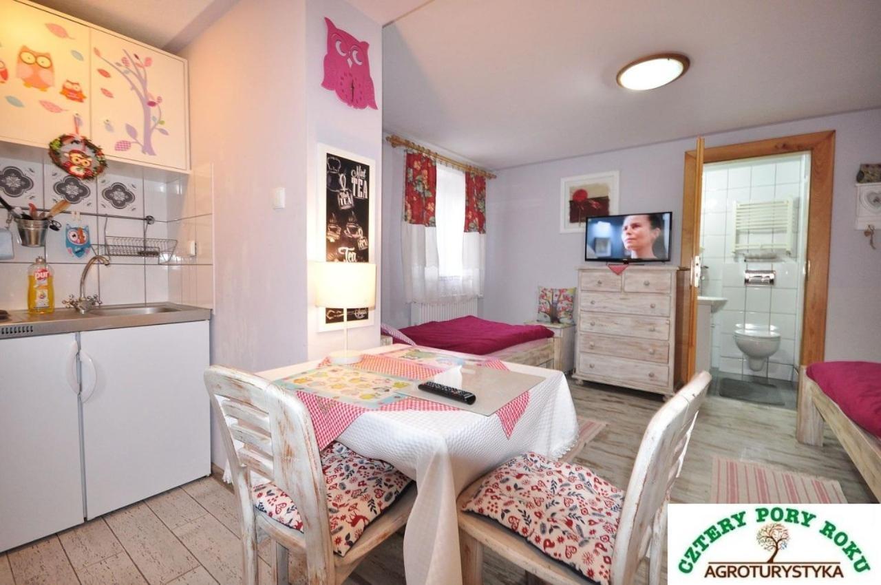 Apartmán Cztery Pory Roku Jezow Sudecki Exteriér fotografie